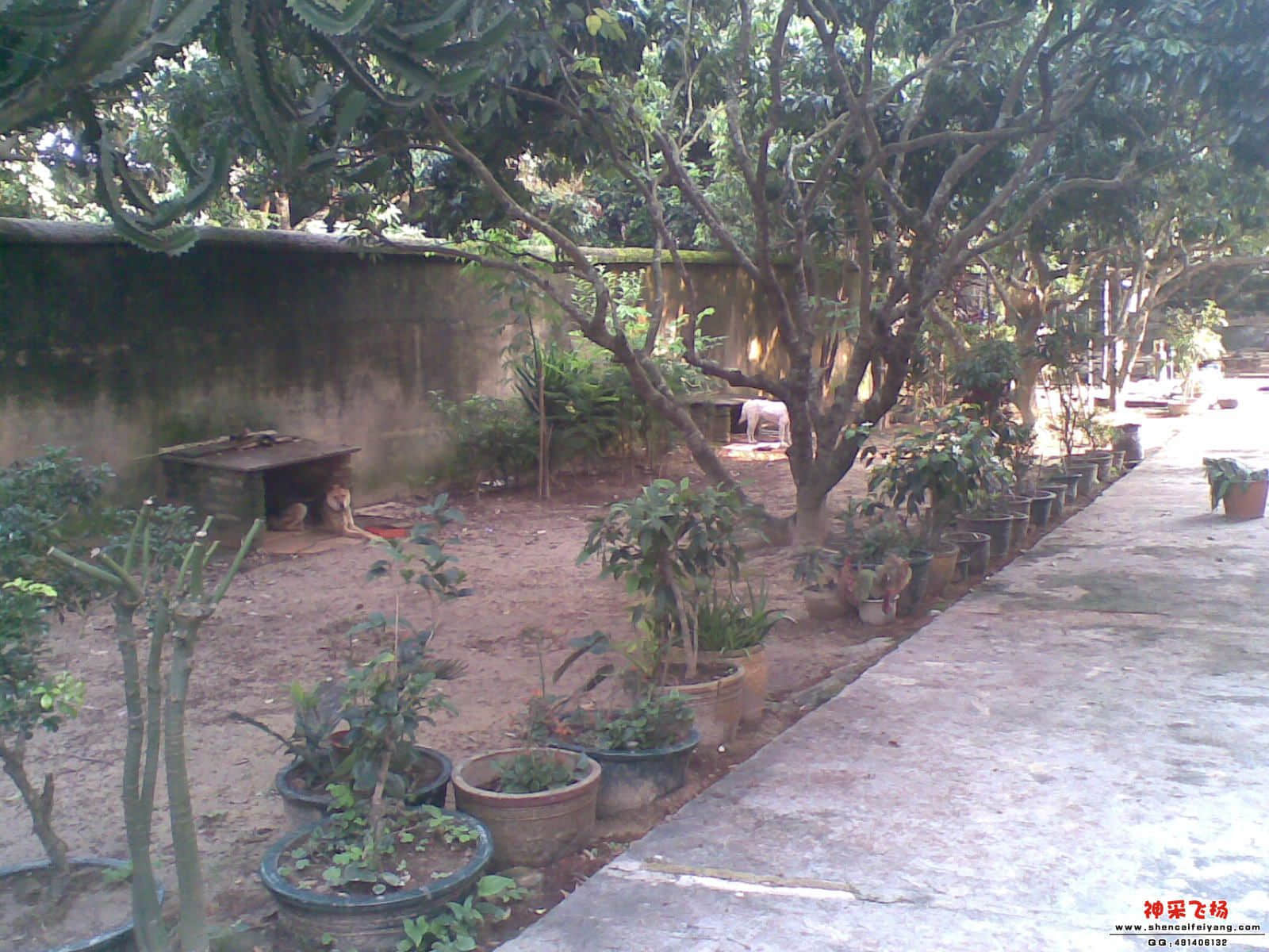 20120501_003.jpg