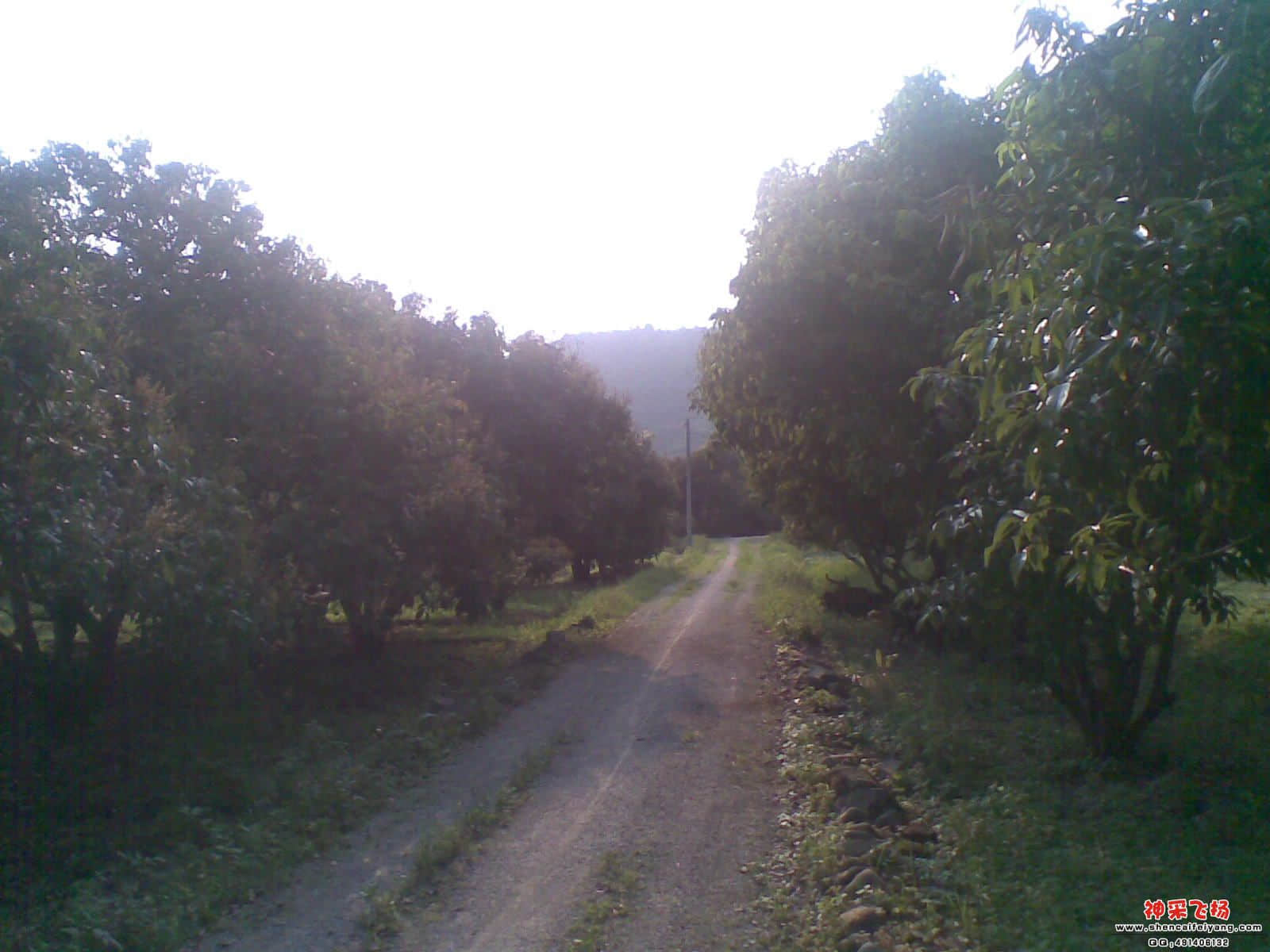 20120501_010.jpg