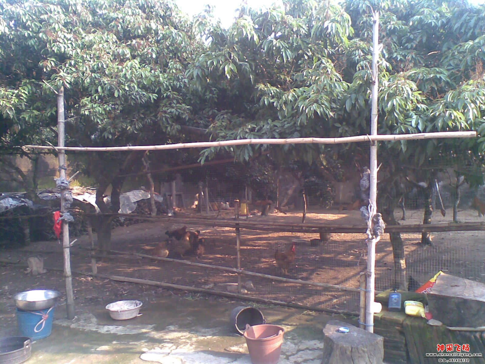 20120501_012.jpg