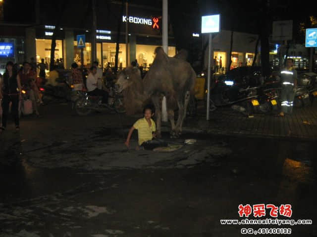 照片 2226.jpg