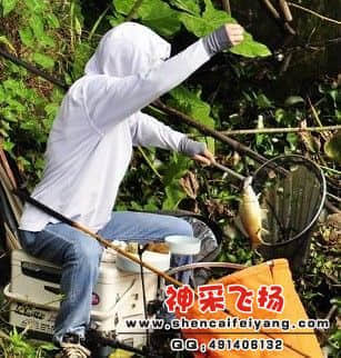 啊啊.jpg