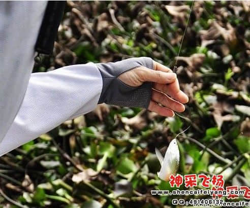 未命名.jpg