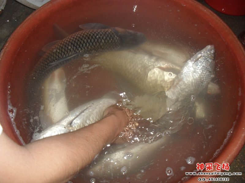 sam_1415_副本.jpg