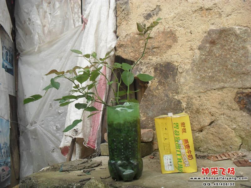 sam_1421_副本.jpg