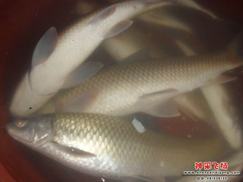 sam_1436_副本.jpg