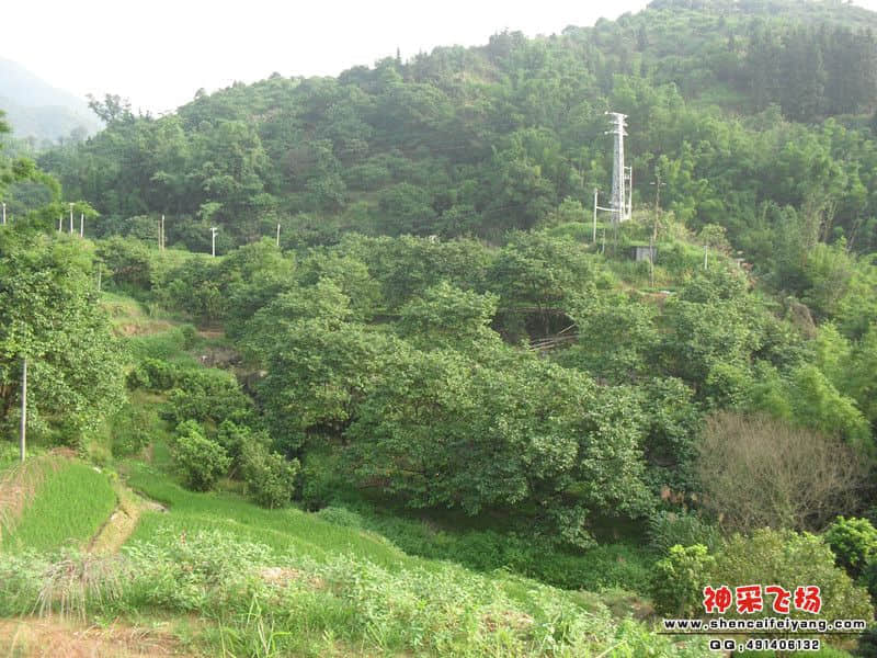 sam_1437_副本.jpg