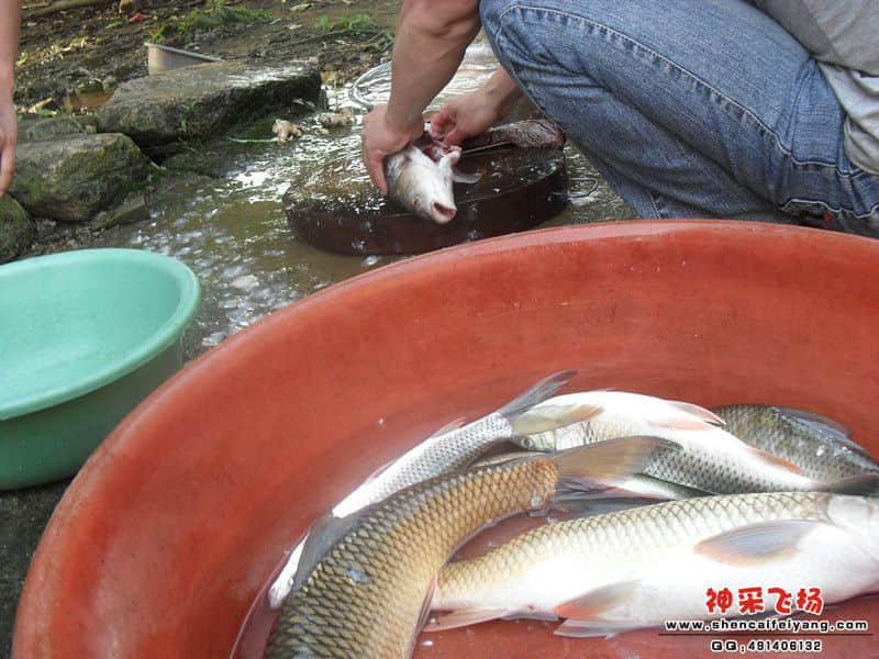sam_1445_副本.jpg