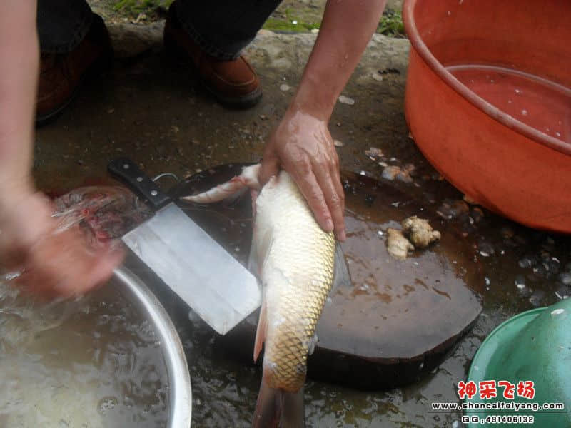sam_1451_副本.jpg