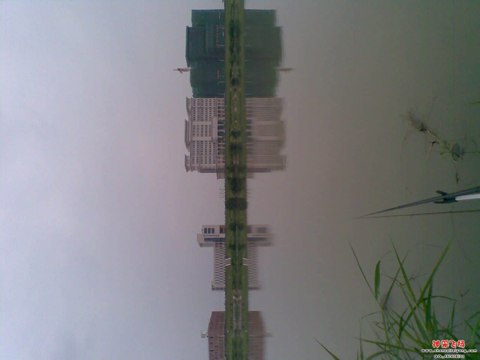 20120521.jpg