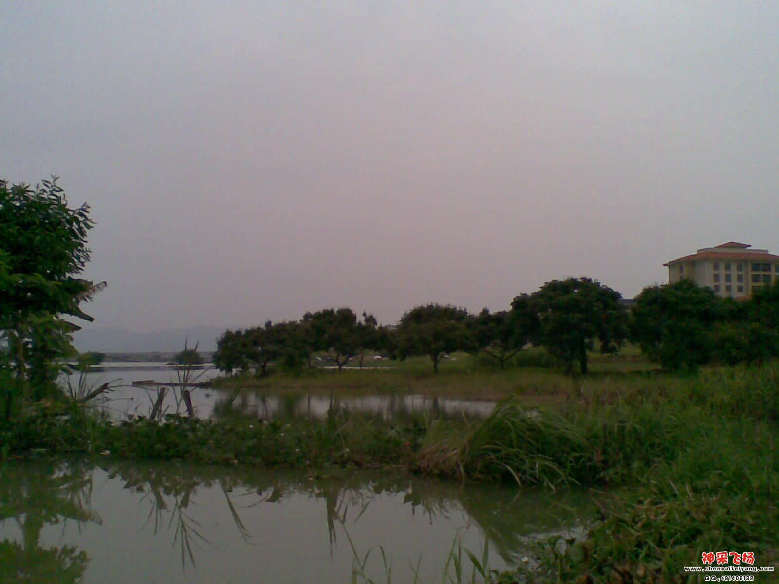 20120521_007.jpg