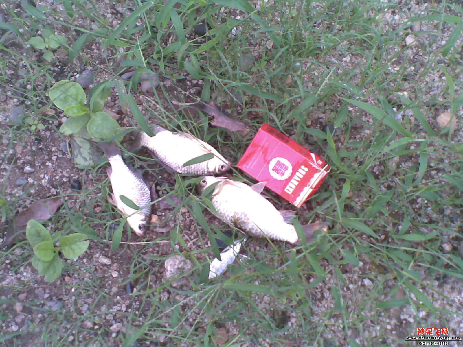 20120521_008.jpg
