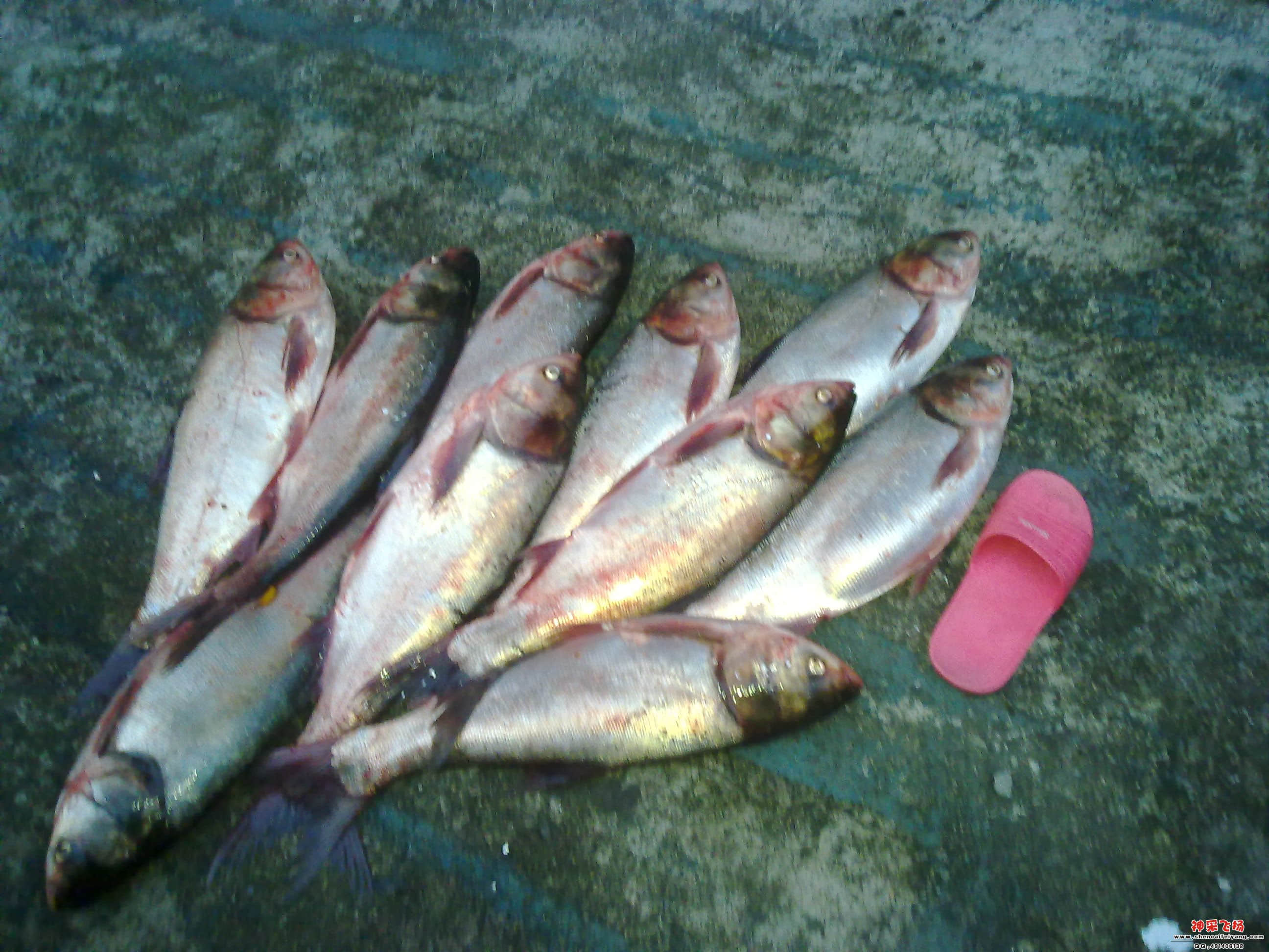 201205051627.jpg