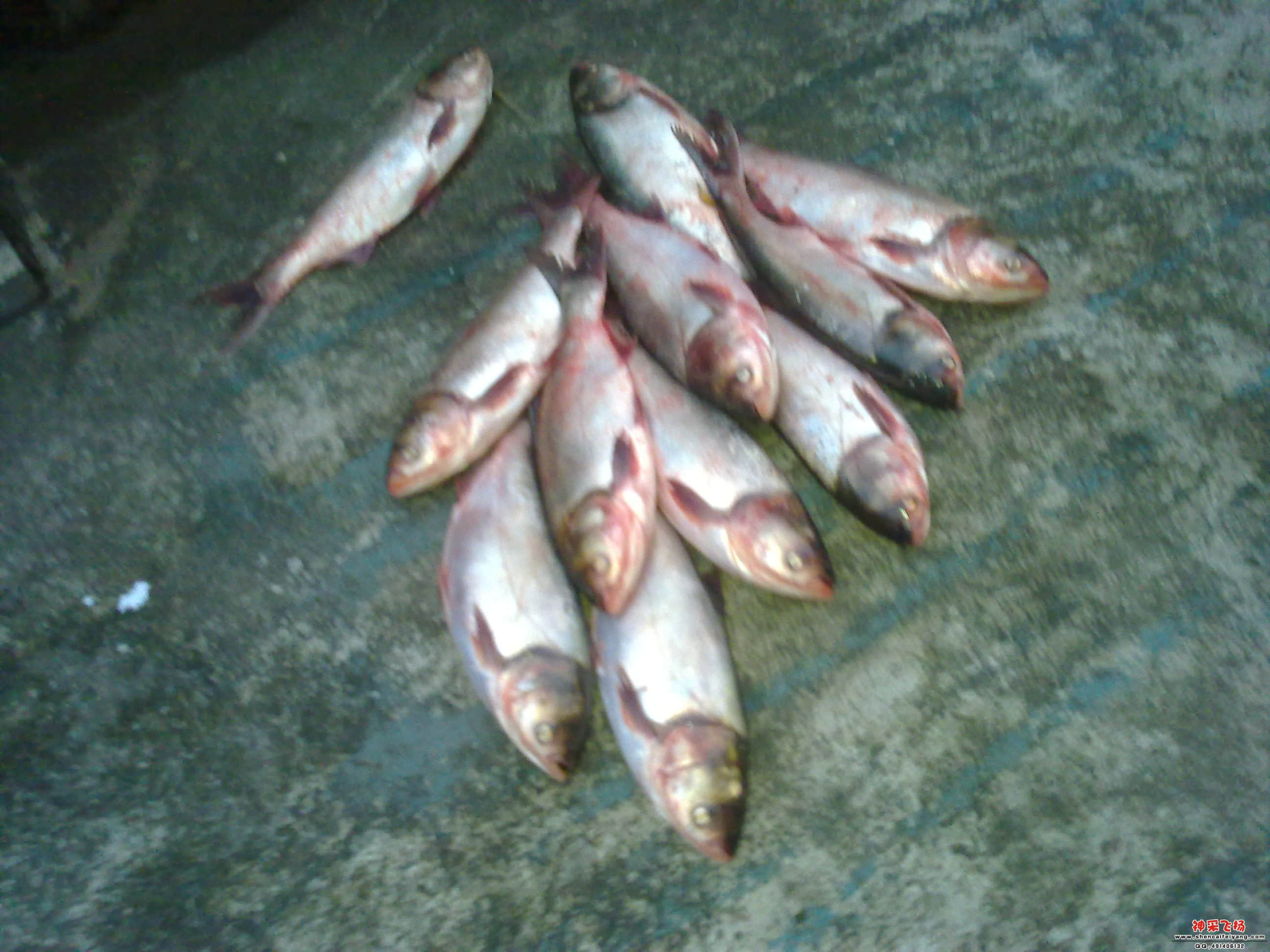 201205051626.jpg