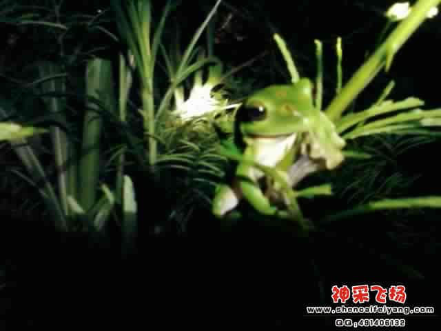 SPM_A0575.jpg