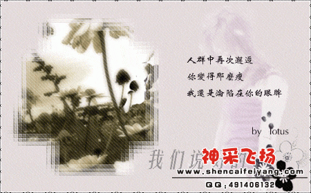 slpf1193115375.gif