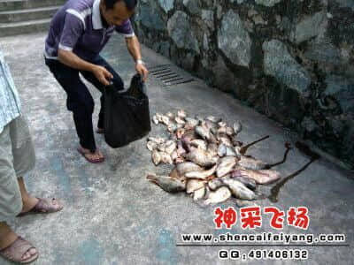 洪仔在忙碌派街坊