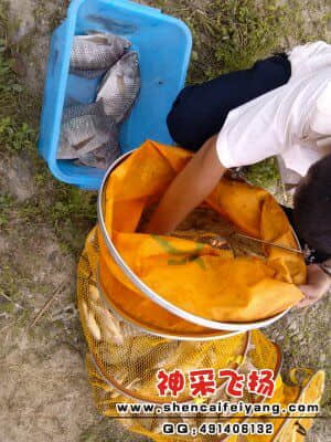 中午杀出一个土匪...