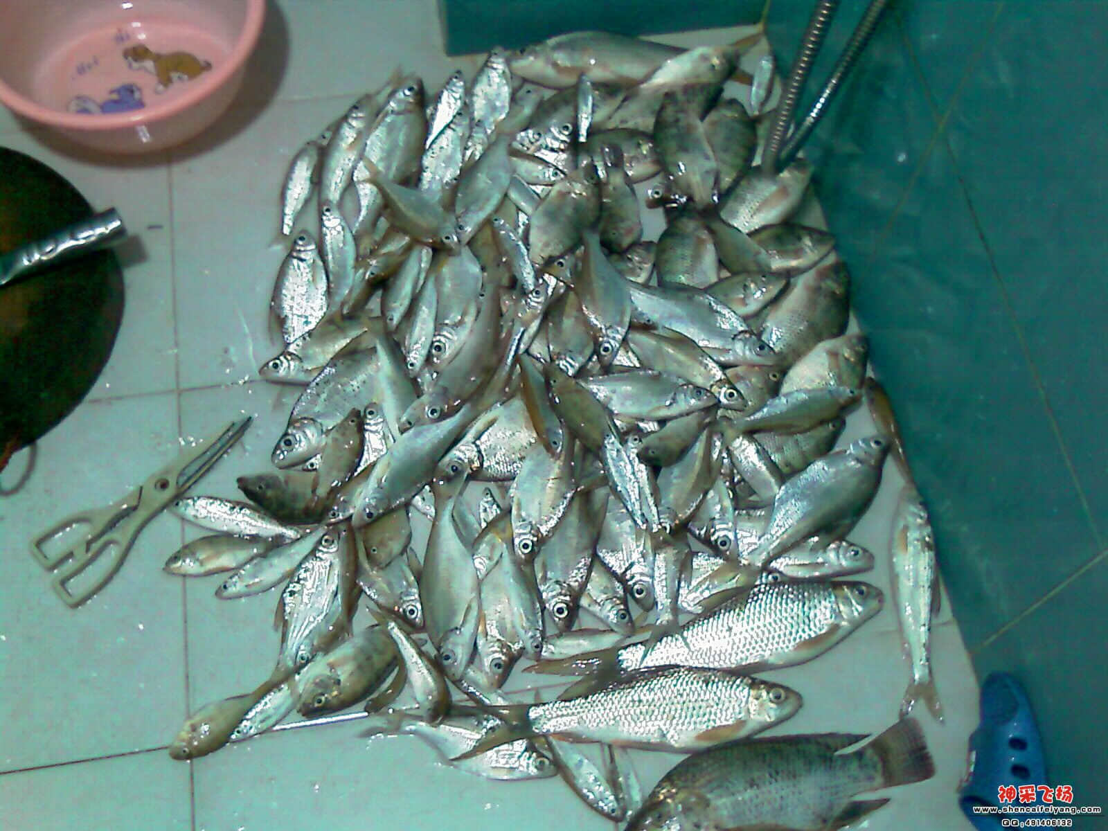 IMAG0349.jpg