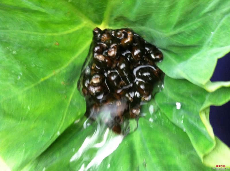 照片 020.jpg