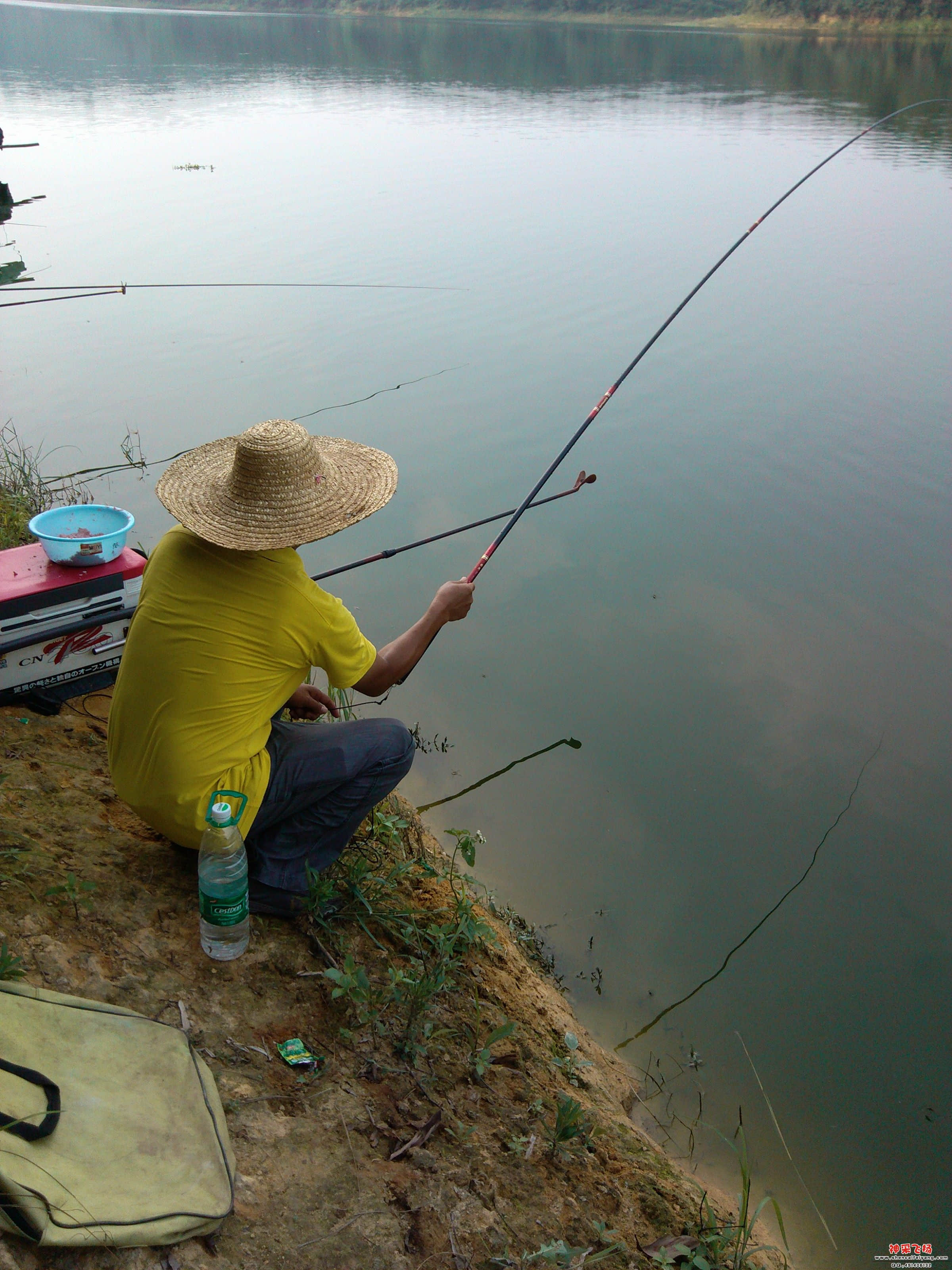 IMG_20120605_163801.jpg