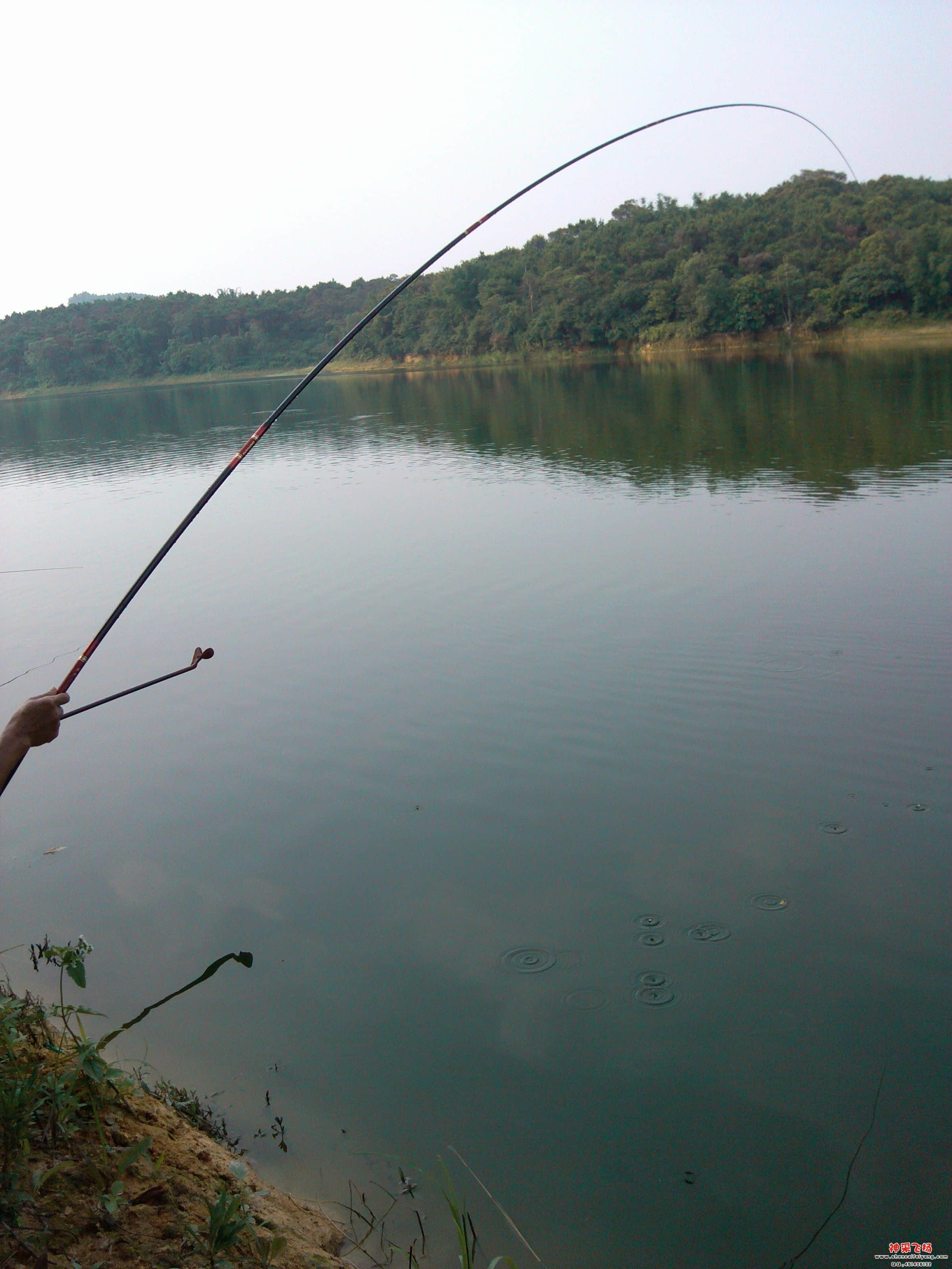 IMG_20120605_163809.jpg