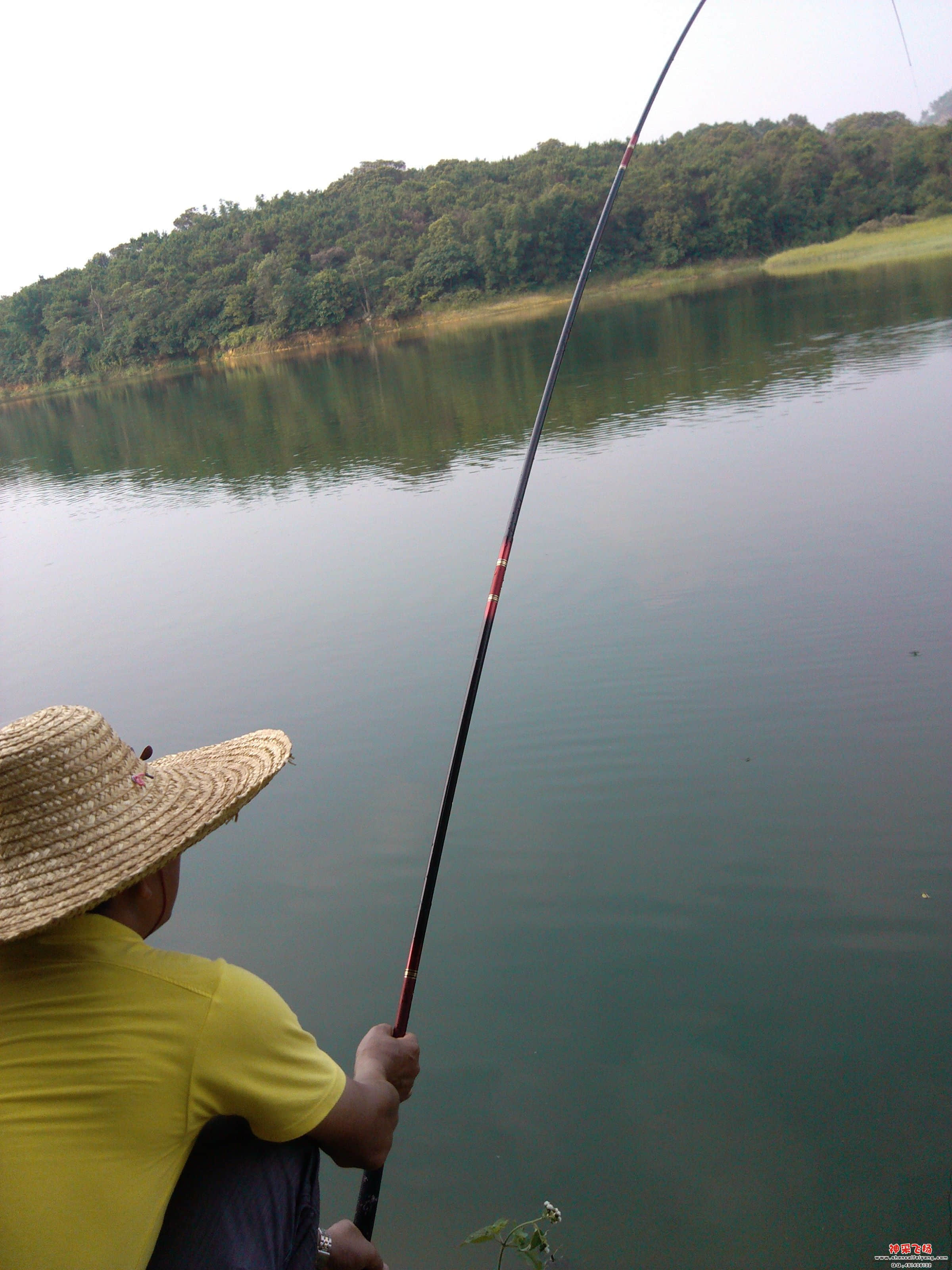 IMG_20120605_163813.jpg