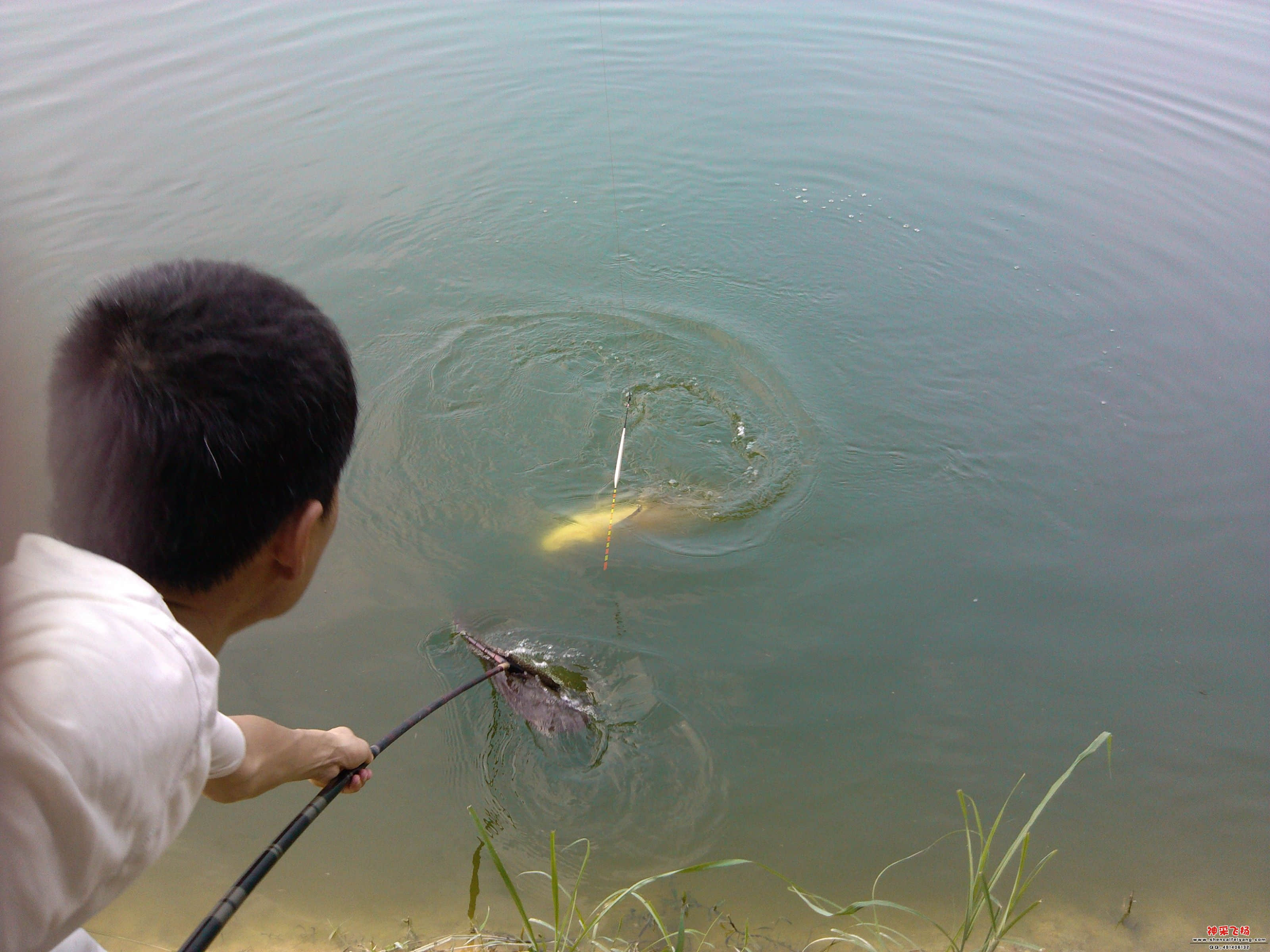 IMG_20120605_163934.jpg
