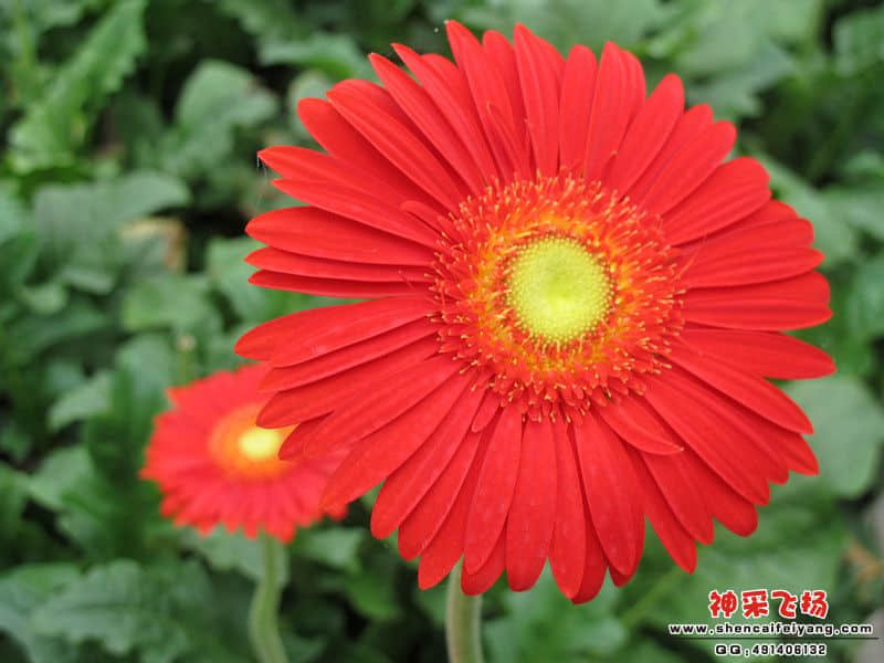IMG_0659_副本.jpg