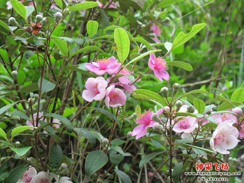 IMG_0673_副本.jpg