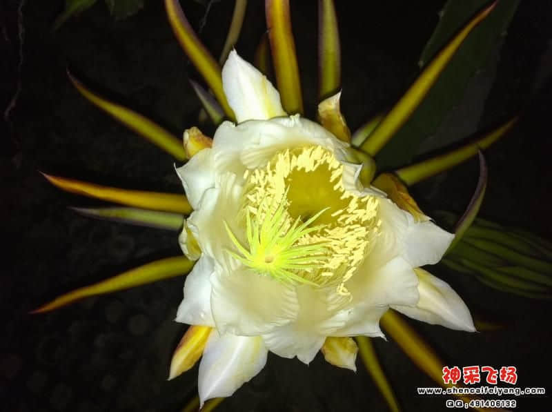 照片 006.jpg