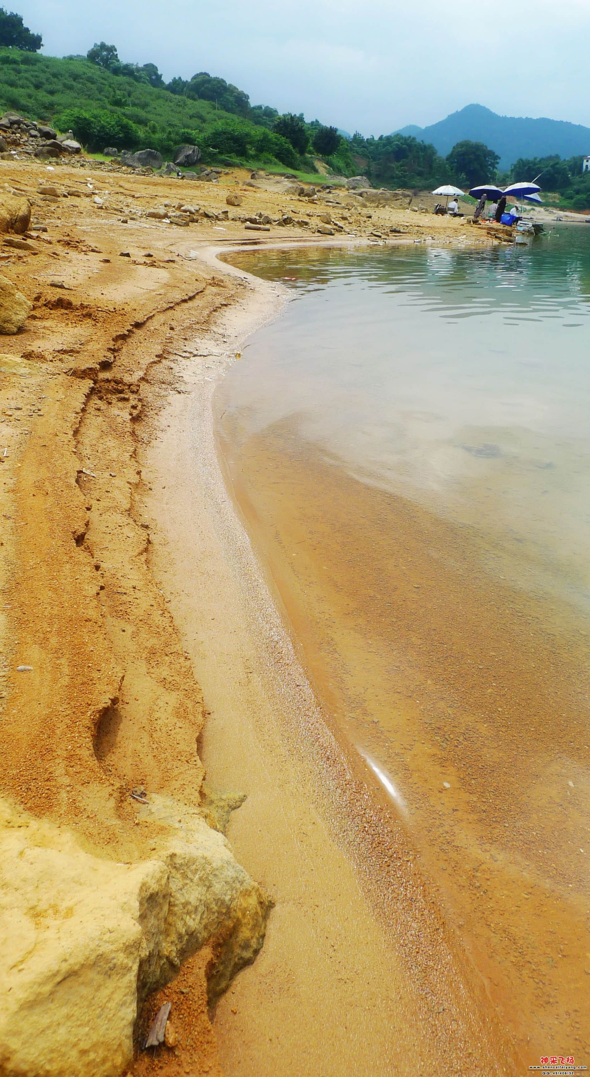 P1020619_conew1.jpg