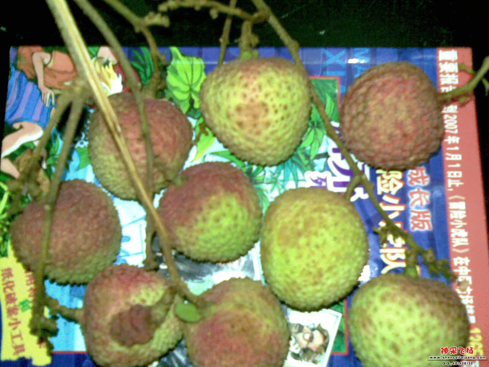 葆葆(038).jpg