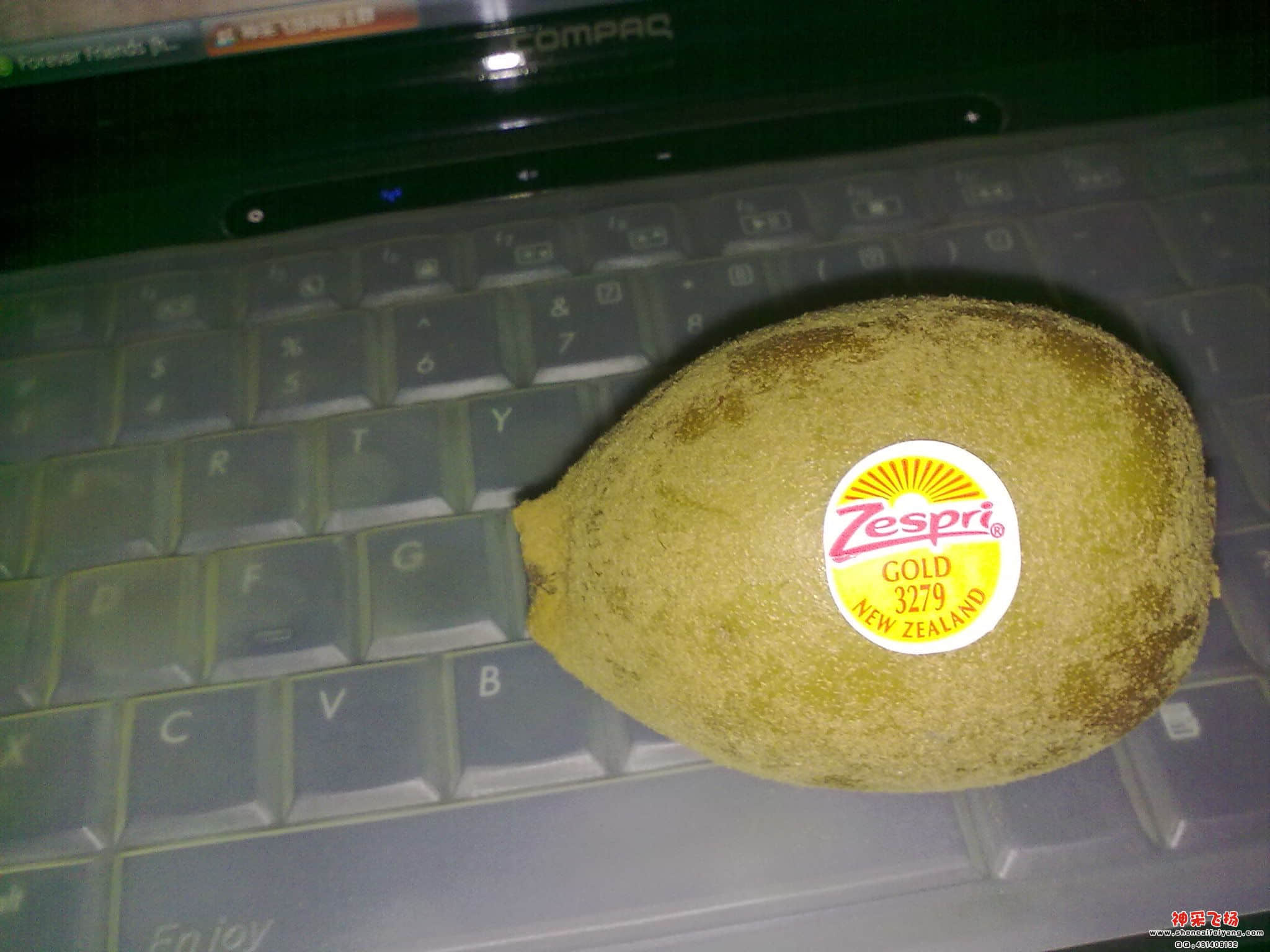 20120610677.jpg