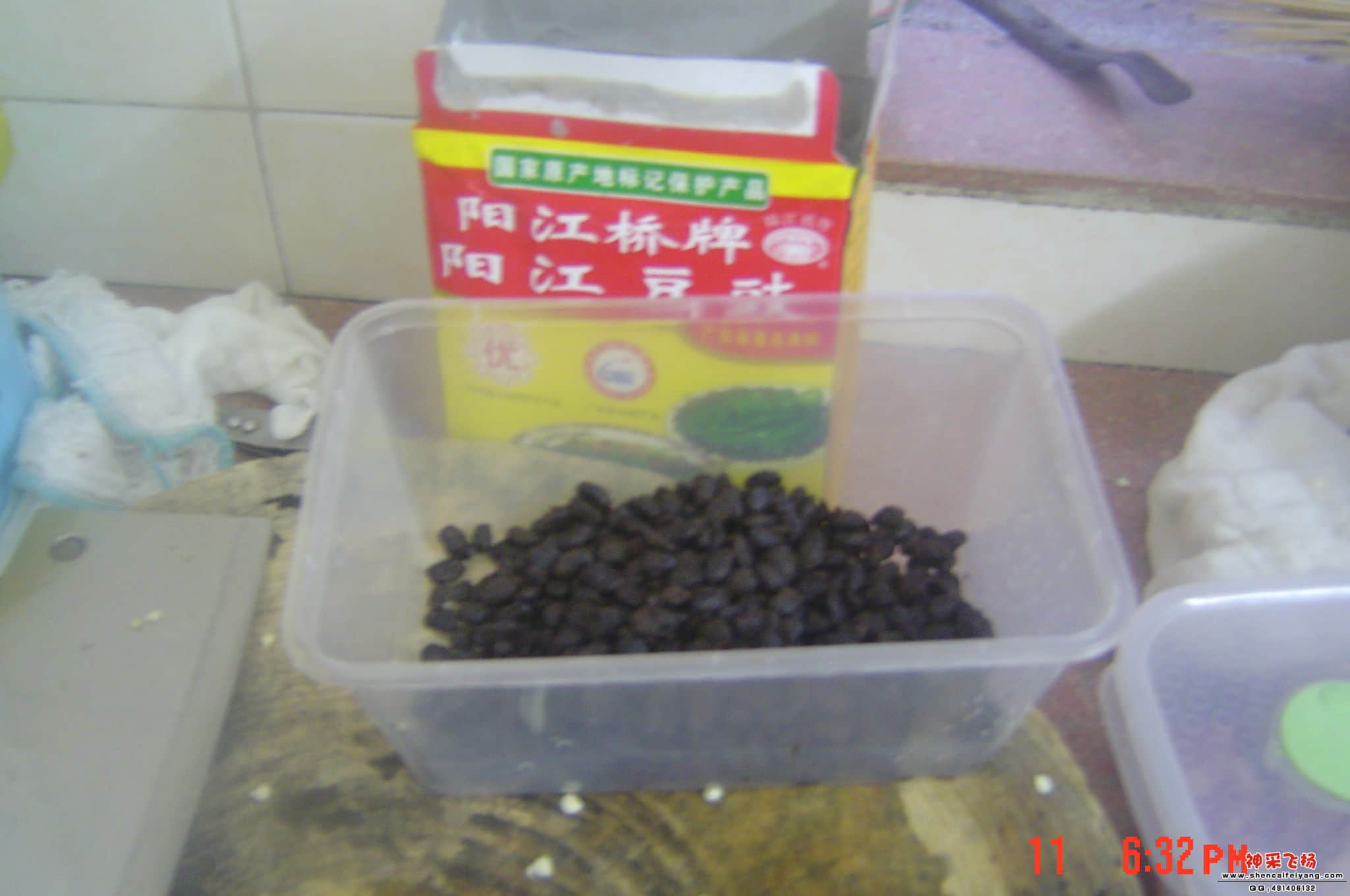 DSC07175.JPG