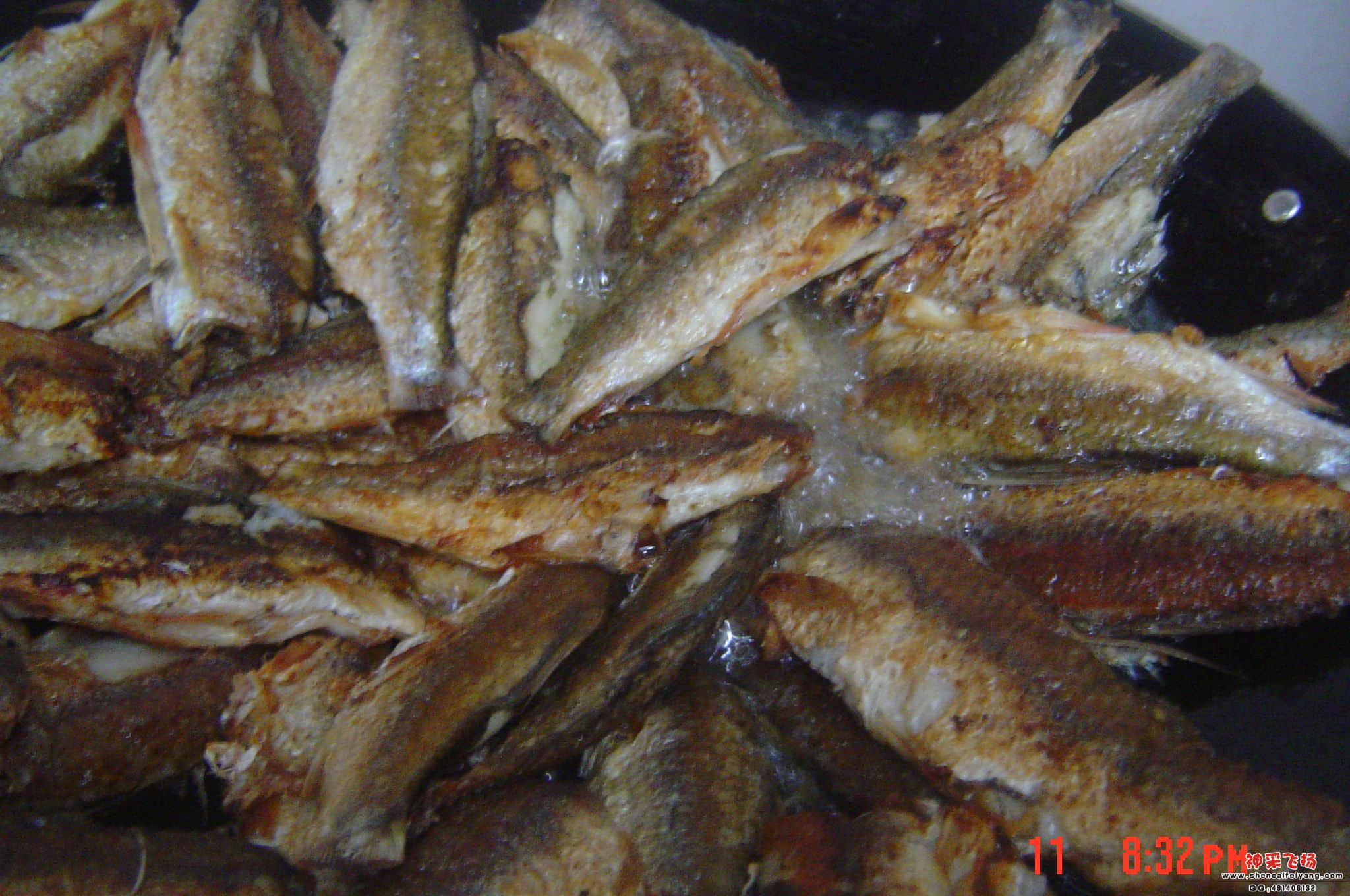 DSC07183.JPG