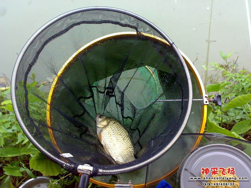 psb[19]_副本.jpg