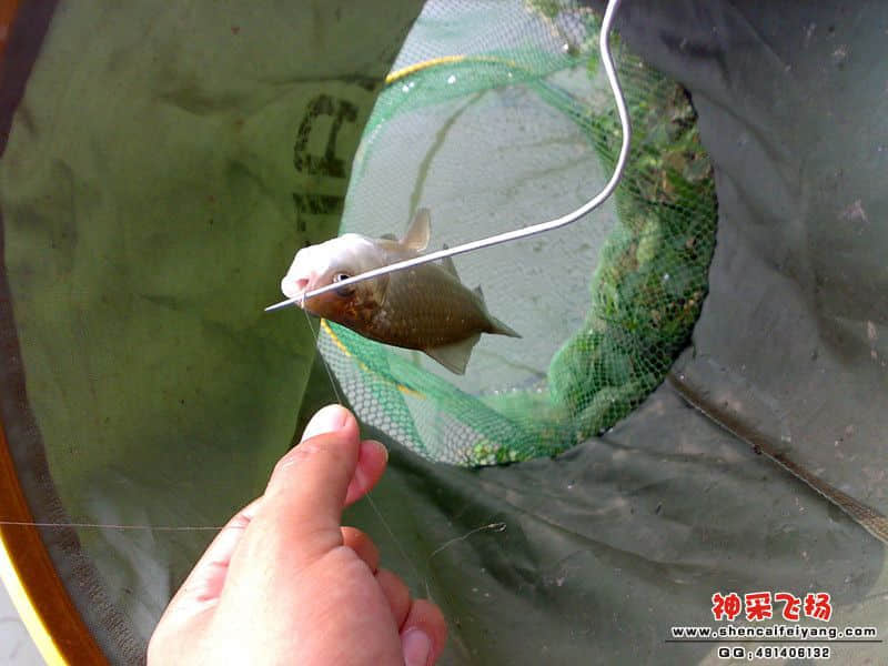 psb[36]_副本.jpg
