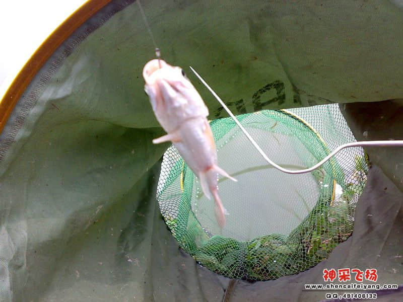 psb[37]_副本.jpg