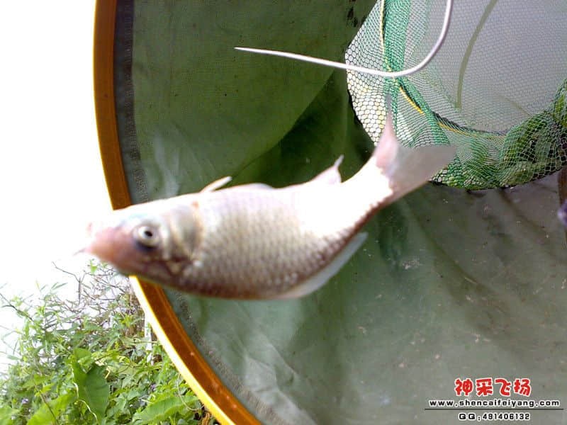 psb[38]_副本.jpg