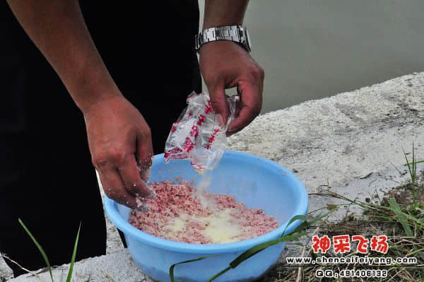 照片 636.jpg