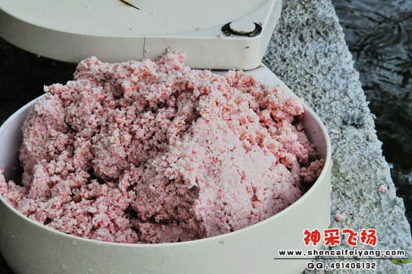 照片 719.jpg