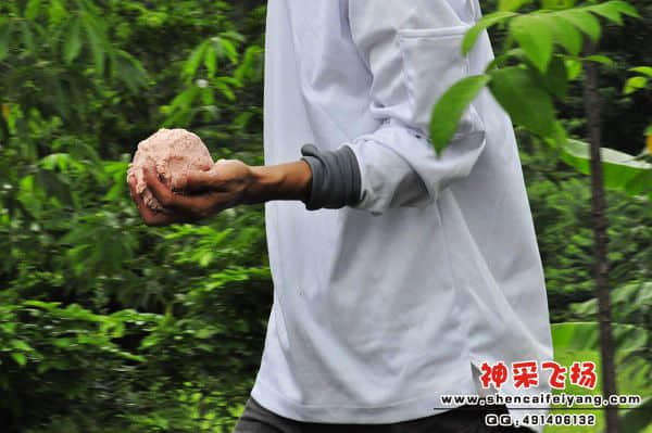 照片 444.jpg