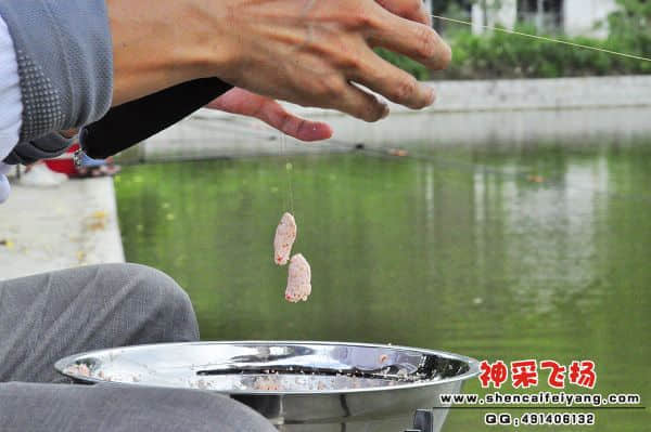 照片 031.jpg