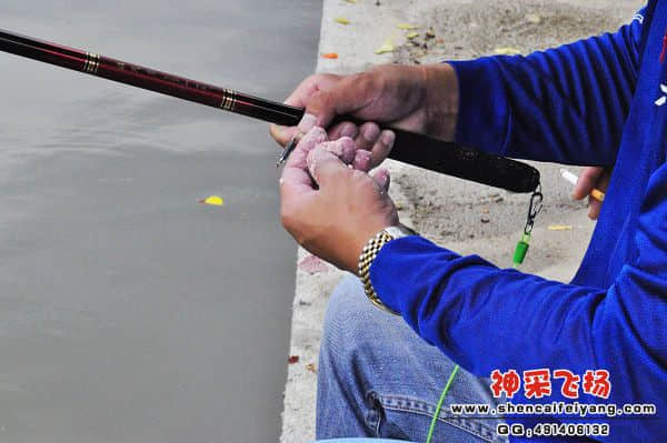 照片 266.jpg
