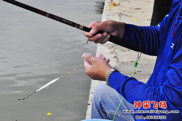 照片 261.jpg