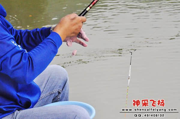 照片 038.jpg