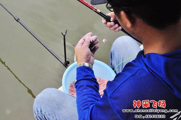 照片 279.jpg