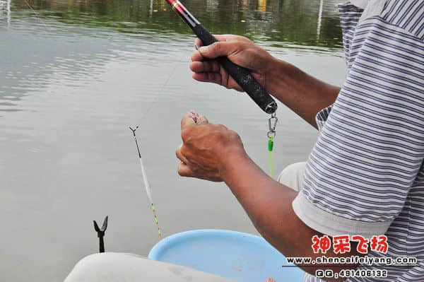 照片 297.jpg