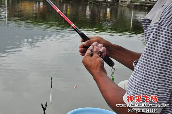 照片 298.jpg