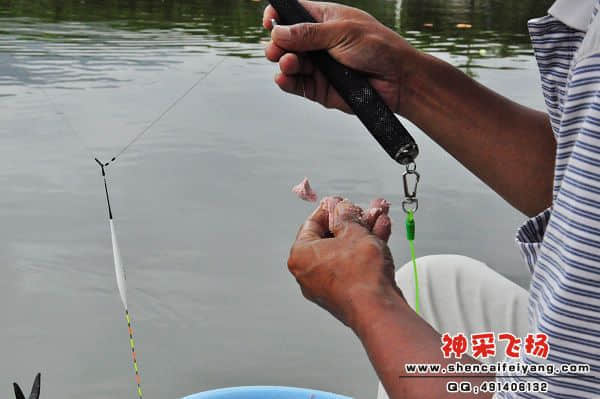 照片 304.jpg